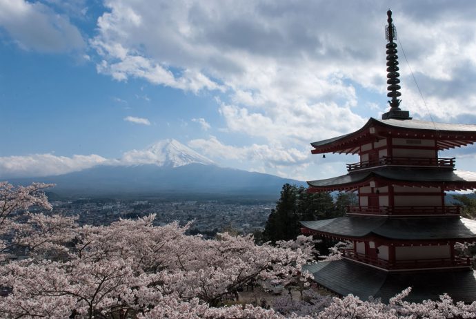 新倉山浅間公園から見た富士山・桜・五重塔