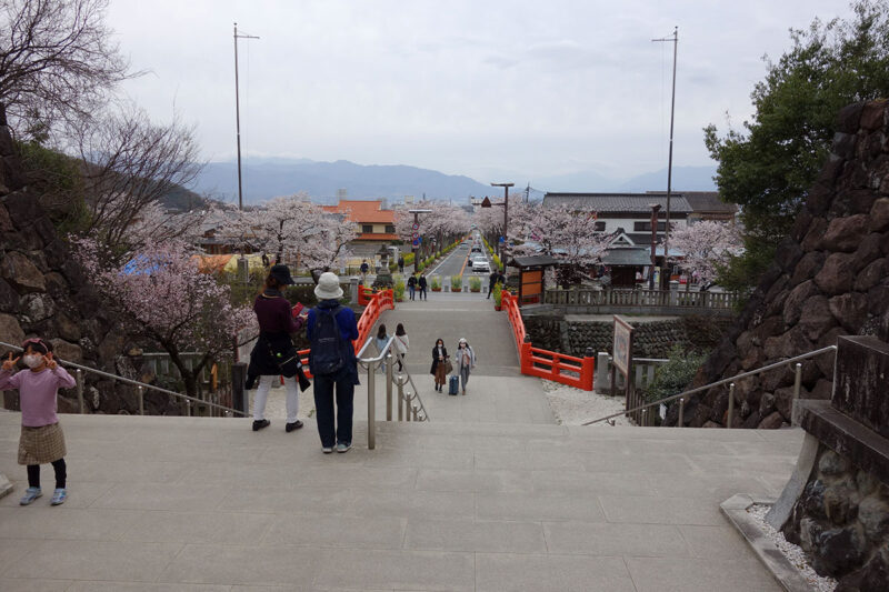 武田神社から見た桜