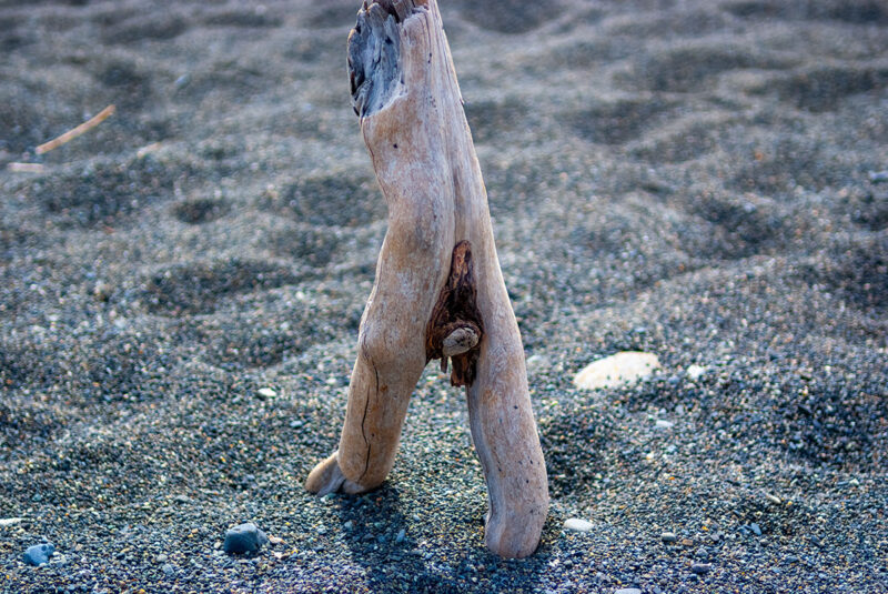 ふじのくに田子の浦みなと公園海岸で見つけた木のオブジェ