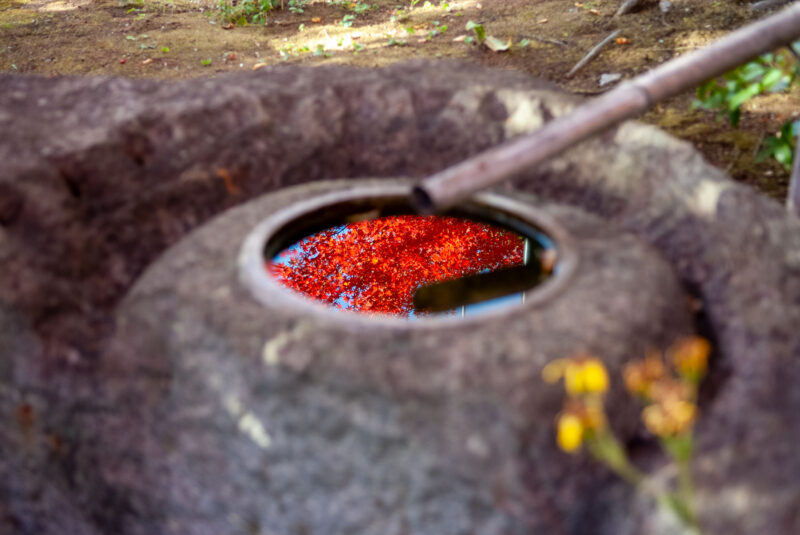 臨済宗 東光寺の庭園
