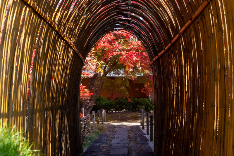 臨済宗 東光寺の庭園